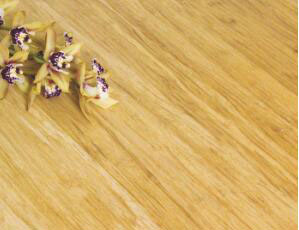 Natural strand woven bambooflooring